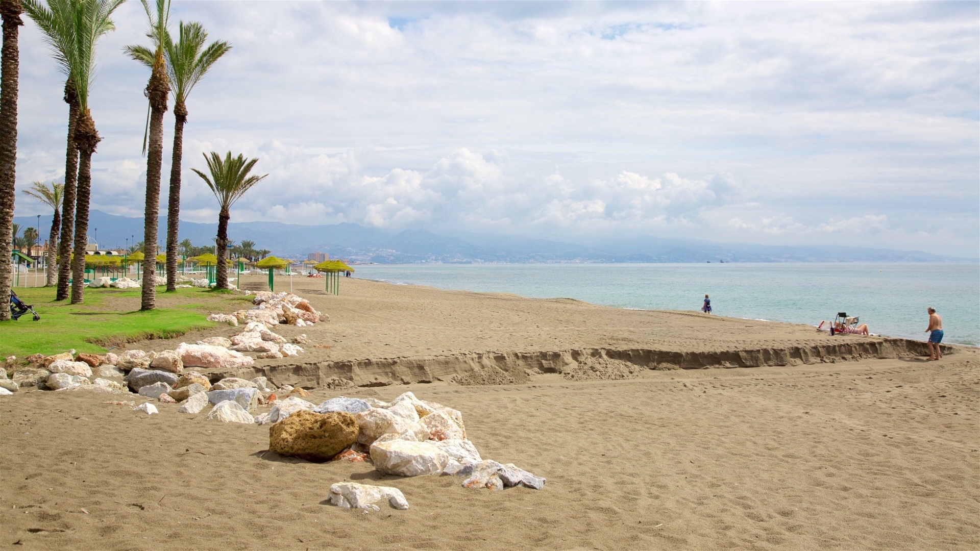 Playa de Los Álamos in Torremolinos: tall palm trees and green-thatched parasols line the sandy beach, with rocks in the foreground and the Mediterranean stretching out to mountains beyond